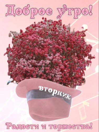 Открытка Доброе утро! Вторник