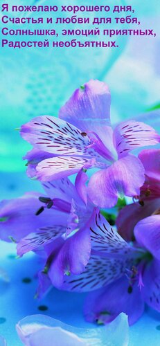 Открытка Я пожелаю хорошего дня, счастья и любви для тебя, солнышка, эмоций приятных, радостей необъятных.