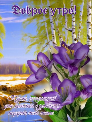 Открытка Доброе утро!