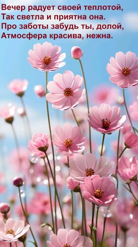 Открытка Вечер радует своей теплотой, Так светла и приятна она. Про заботы забудь ты, долой, Атмосфера красив