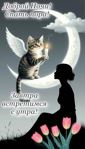 Открытка Доброй ночи!