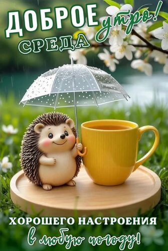 Открытка ДОБРОЕ УТРО! СРЕДА. ХОРОШЕГО НАСТРОЕНИЯ В ЛЮБУЮ ПОГОДУ!