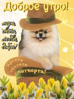 dobroe-utro-yarkogo-teplogo-chetverga.jpg?z=105