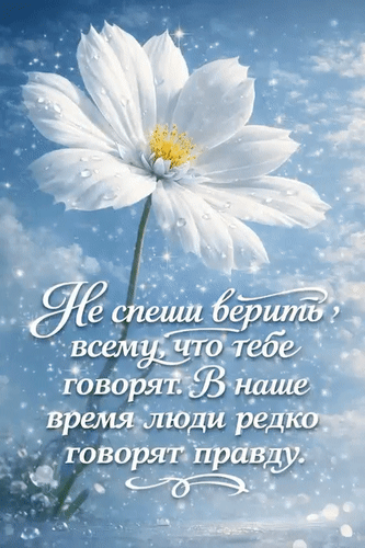 Анимированная открытка Про жизнь и доверие