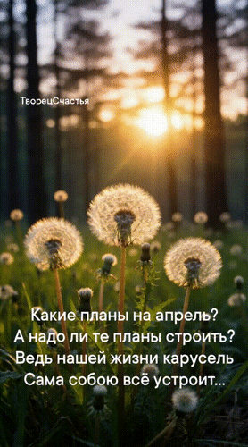 Анимированная открытка Какие планы на апрель? А надо ли те планы строить? Ведь нашей жизни карусель сама собой всё устроит.
