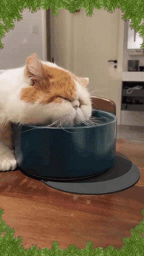 Анимированная открытка С Понедельником! Когда-нибудь вы встретите свое счастье, а сейчас встречайте новую рабочую неделю!