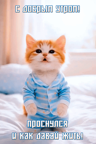 Анимированная открытка С добрым утром! Проснулся и как давай жить!