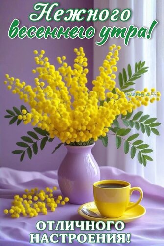 Открытка Нежного весеннего утра! Отличного настроения!