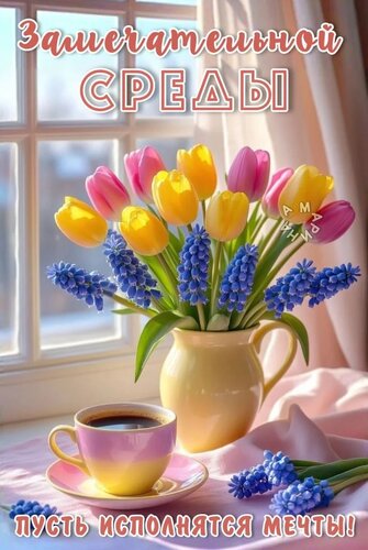 Открытка ЗАМЕЧАТЕЛЬНОЙ СРЕДЫ! ПУСТЬ ИСПОЛНЯТСЯ МЕЧТЫ!