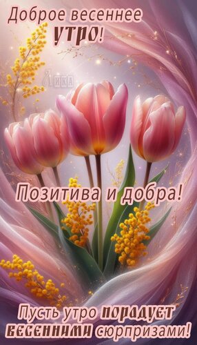 Открытка Доброе утро