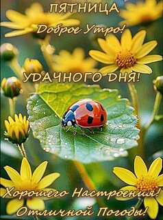 dobroe-utro.jpg?z=113