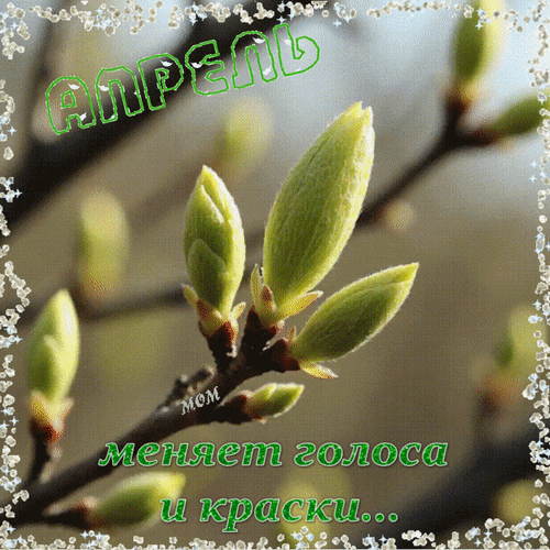 Анимированная открытка Апрель меняет голоса и краски...