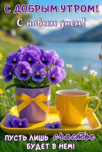 Открытка С Добрым Утром! С Новым ДНЕМ! Пусть ЛИШЬ Счастье Будет В НЕМ!
