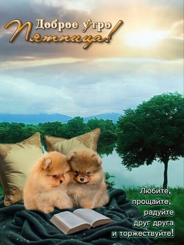 Открытка Доброе утро пятница!