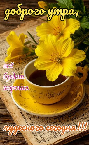 Открытка Доброго утра, чудесного сегодня. Всё будет хорошо