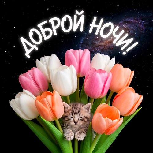 Открытка Доброй ночи!