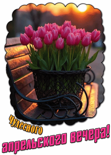 Анимированная открытка Чудесного апрельского вечера!