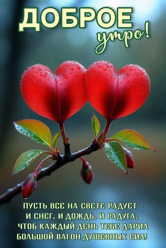 Открытка Доброе утро! Пусть все на свете радует - и снег, и дождь, и радуга. Чтоб каждый день тебе дарил...