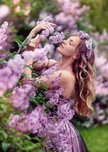 Анимированная открытка Сиреневого настроения!