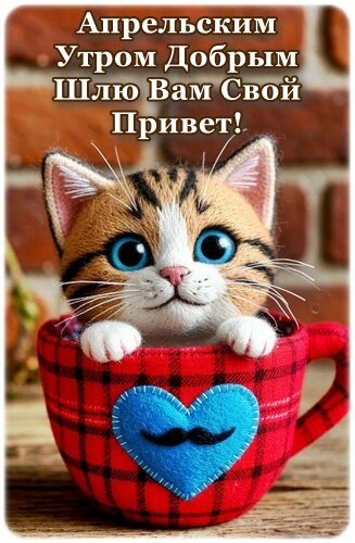 Открытка Доброе утро!