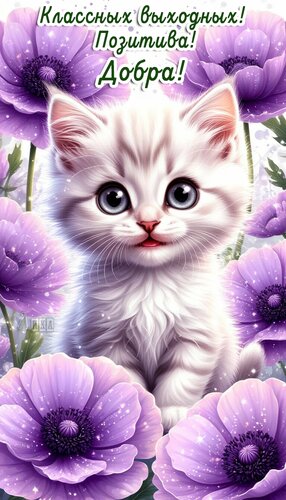 Открытка Выходные