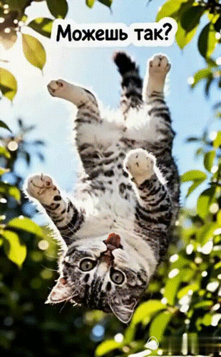 Анимированная открытка МОЖЕШЬ ТАК?