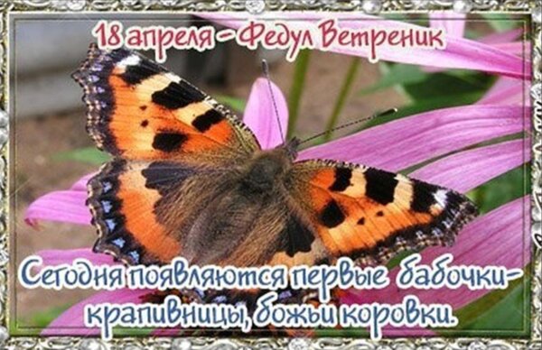 Открытка 18 апреля Федул ветреник