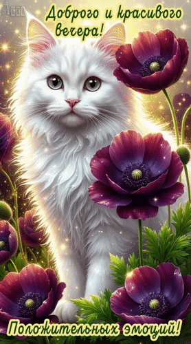 Анимированная открытка Добрый вечер