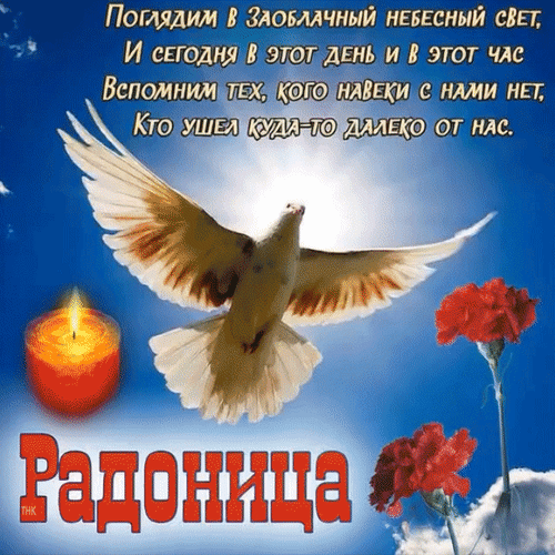 Анимированная открытка Погляди в заоблачный небесный свет...