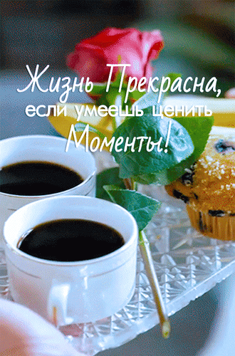Анимированная открытка Жизнь прекрасна, если умеешь ценить моменты!