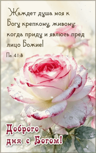 Анимированная открытка Доброго дня с Богом! Жаждет душа моя к Богу крепкому, живому: когда приду и явлюсь пред лицо Божие!