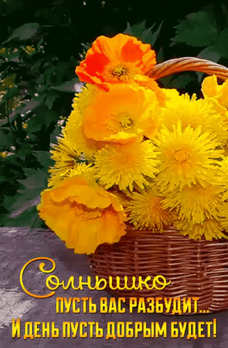 Анимированная открытка Солнышко пусть вас разбудит... и день пусть добрым будет!