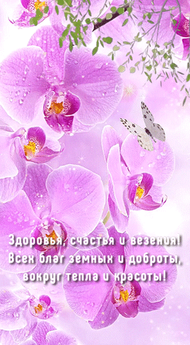 Анимированная открытка Здоровья, счастья и везения! Всех благ земных и доброты, вокруг тепла и красоты!