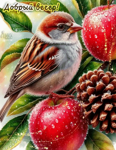 Анимированная открытка Добрый вечер!