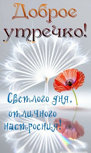 Открытка Доброе утречко. Светлого дня, отличного настроения
