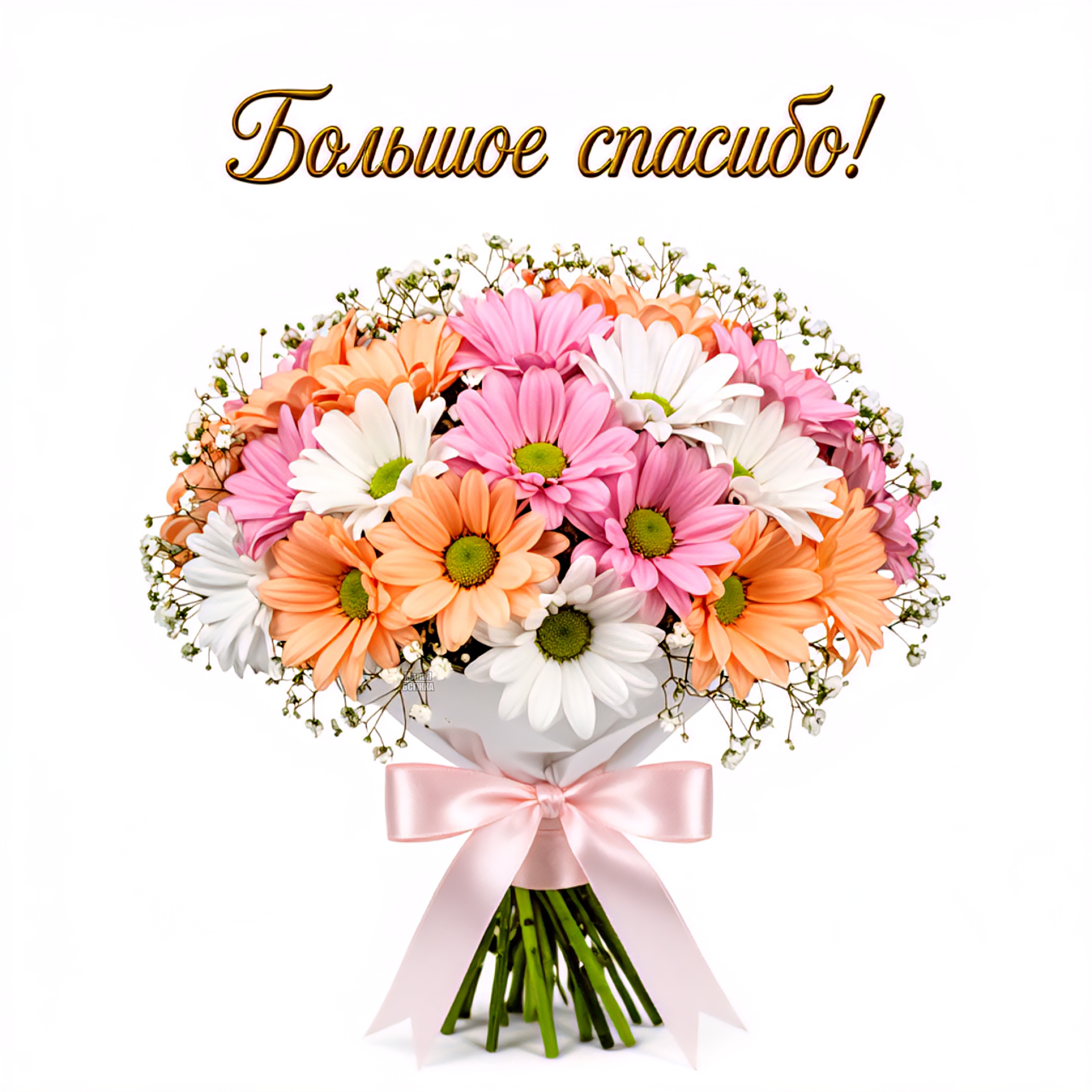 Открытка Большое спасибо!