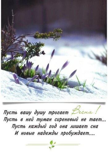 Открытка Пусть вашу душу трогает весна