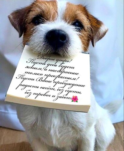 Открытка Доброе утро!