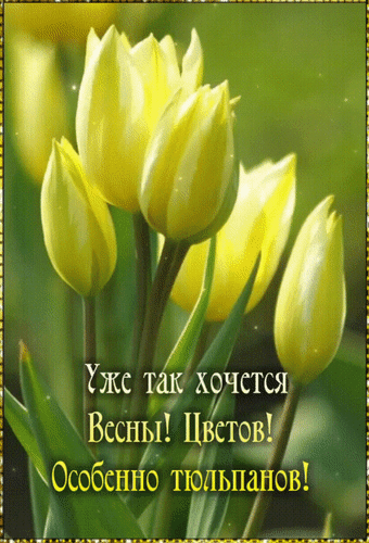 Анимированная открытка Уже так хочется Весны! Цветов! Особенно тюльпанов!