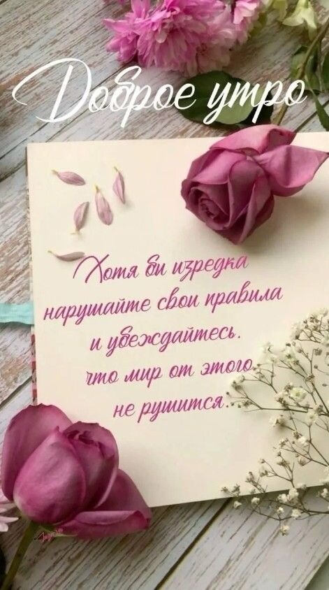 Открытка Доброе утро!