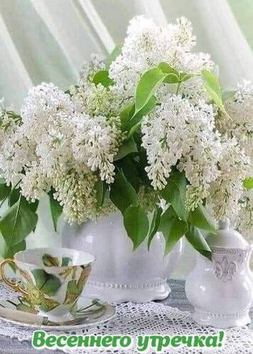 Открытка Весеннего утречка!