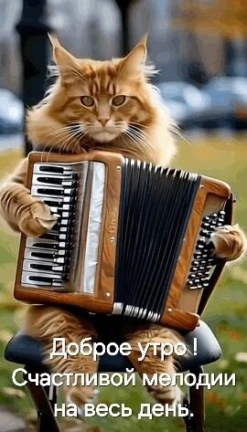 Открытка Доброе утро!