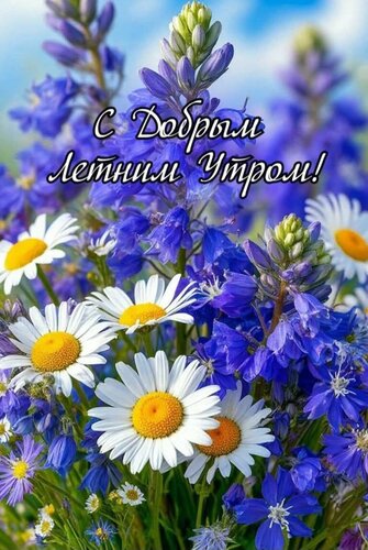 Открытка С добрым летним утром!