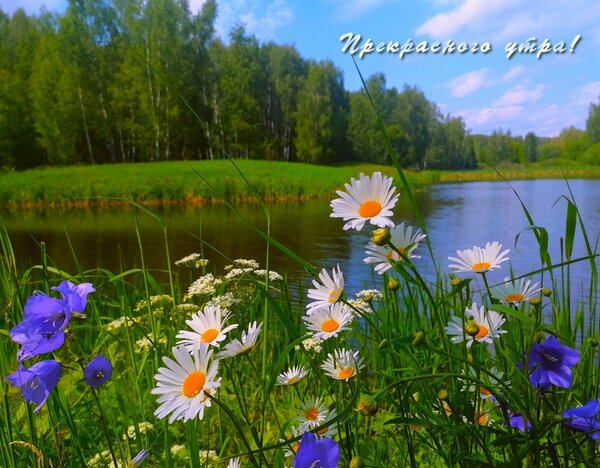 Открытка Прекрасного утра!
