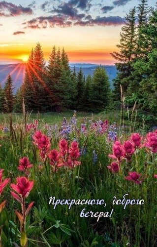 Открытка Прекрасного доброго вечера!