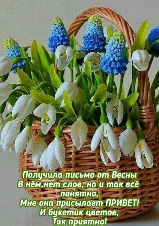 Открытка Получила письмо от весны