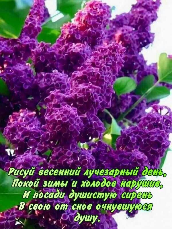 Открытка Рисуй весенний лучезарный день