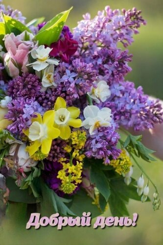Открытка Добрый день!
