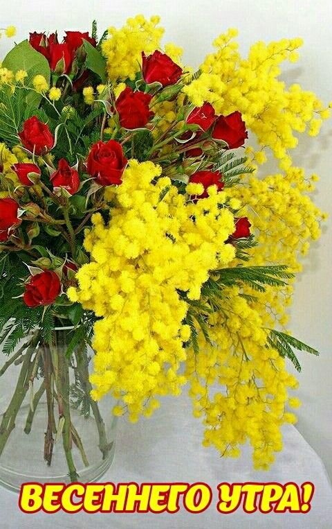 Открытка Весеннего утра!