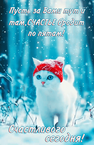 Анимированная открытка Пусть за вами тут и там счастье бродит по пятам! Счастливого сегодня!